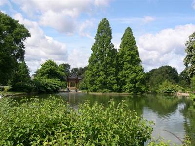 wisley7.jpg