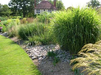 wisley8.jpg