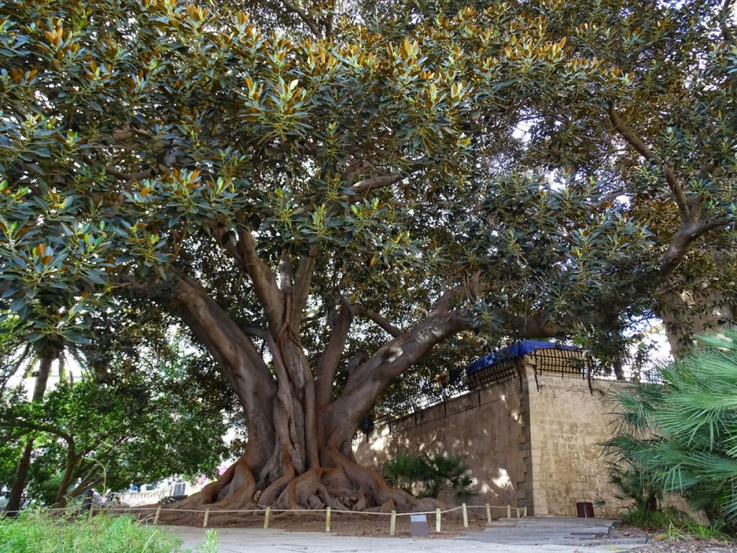 Wo-W-99-R090c8-Dtq-PMg7.jpg