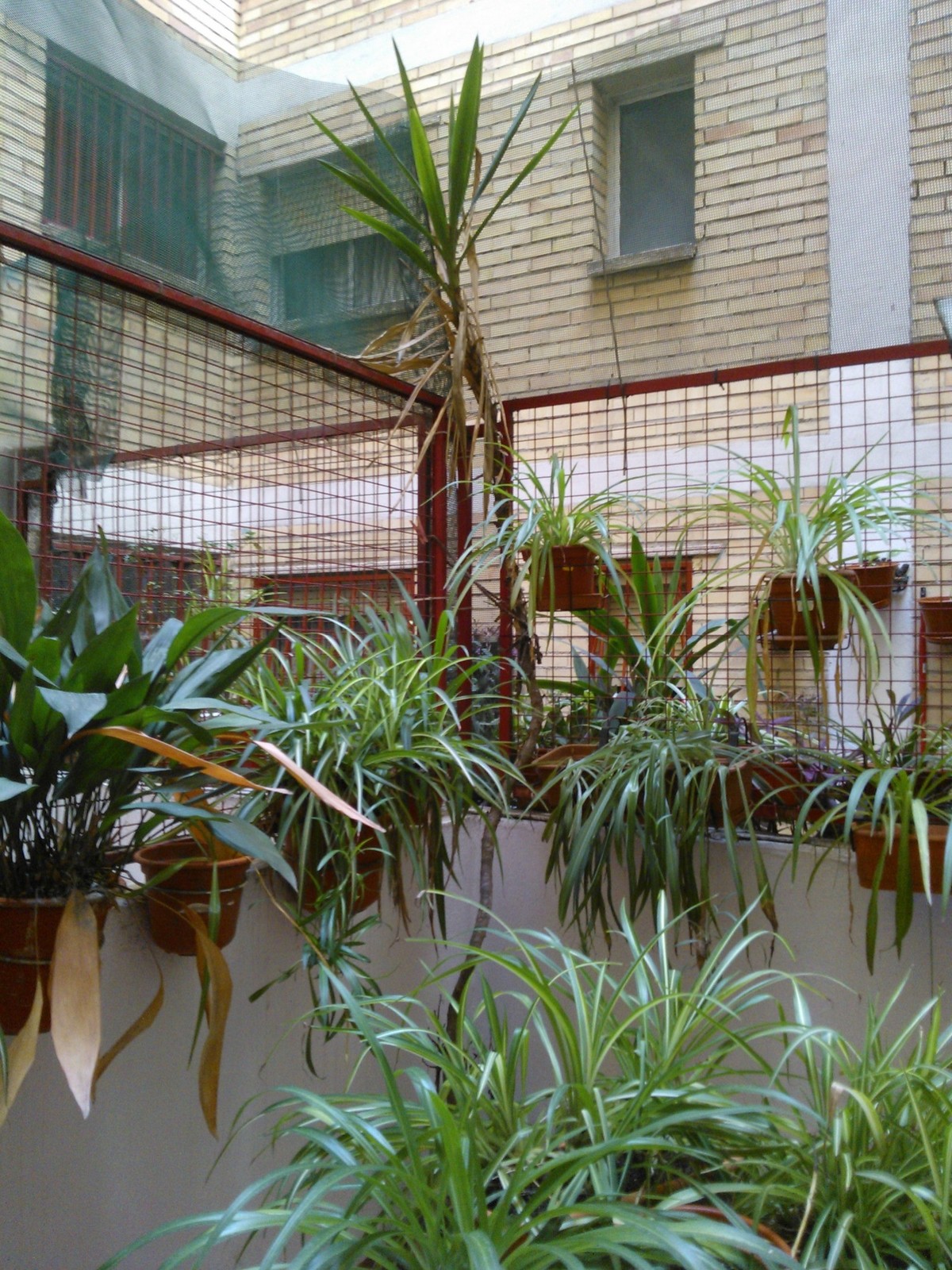 WP_000025.jpg