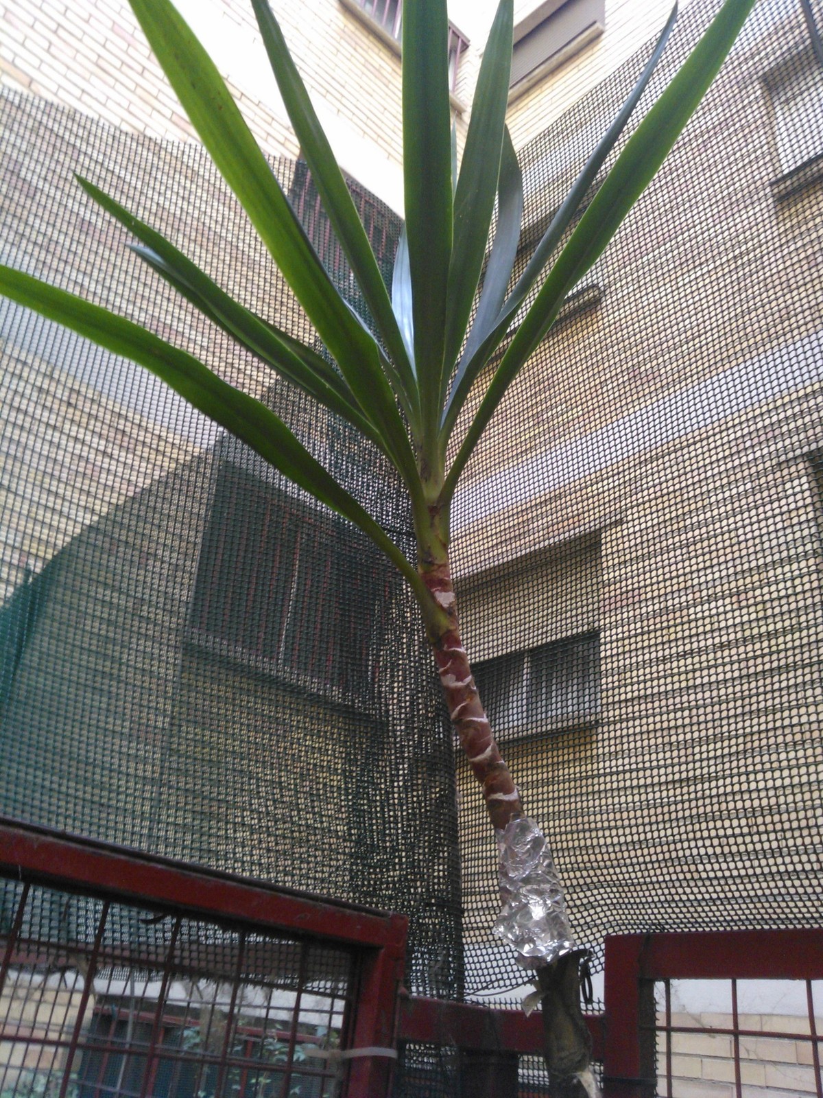 WP_000027.jpg