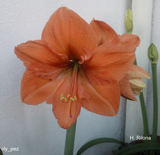 WP_000086.jpg