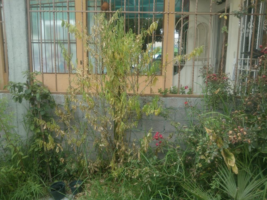 WP_000187_zps6eoafjge.jpg