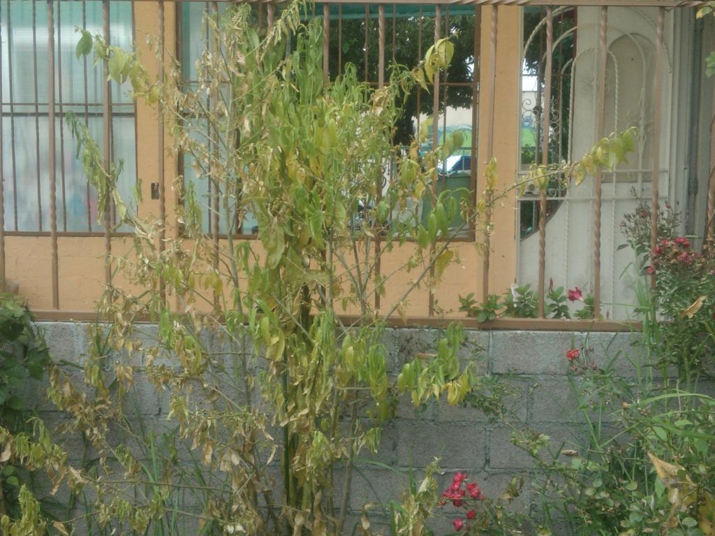 WP_000188_zpszc8zanod.jpg