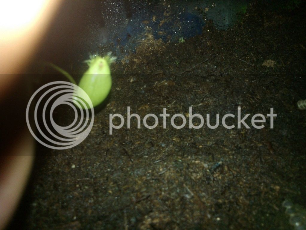 WP_000196_zps13d395d2.jpg