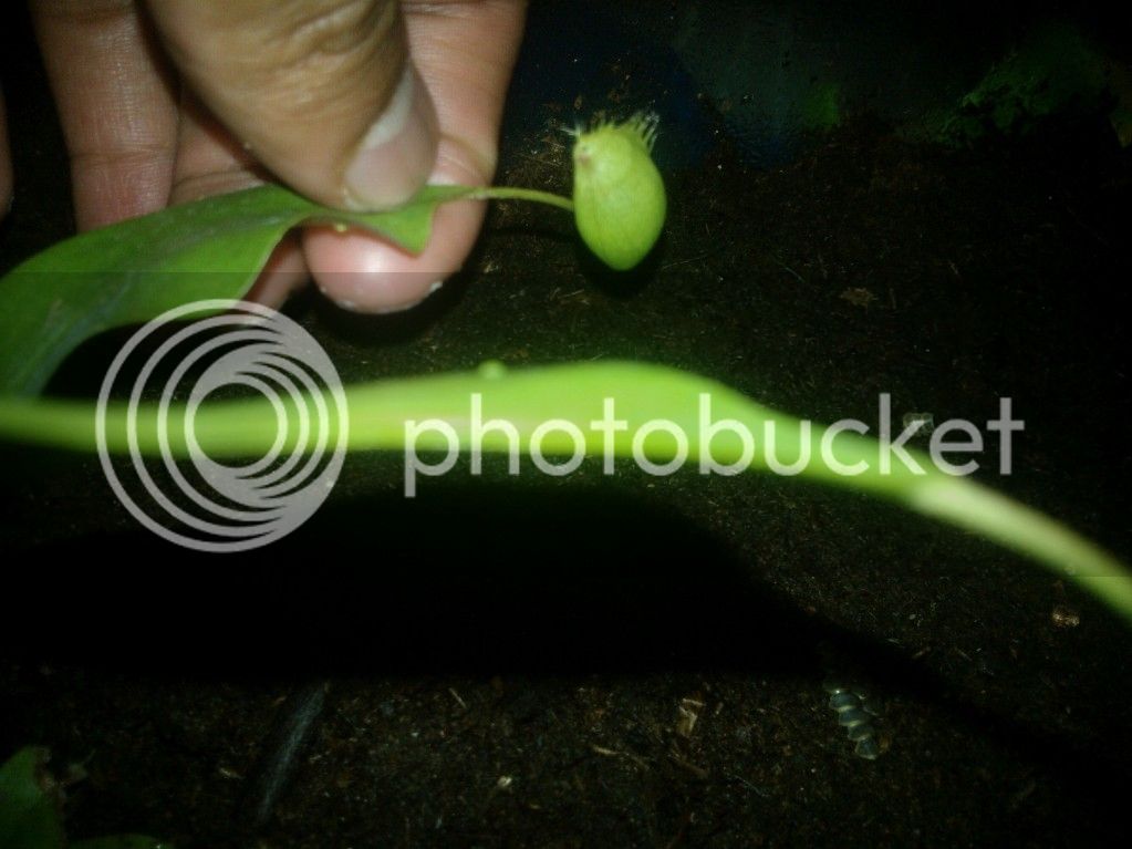 WP_000201_zpsea0cb68d.jpg