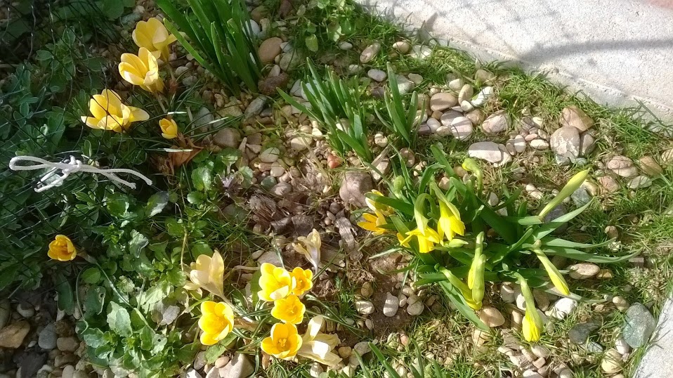 WP_20140228_011.jpg