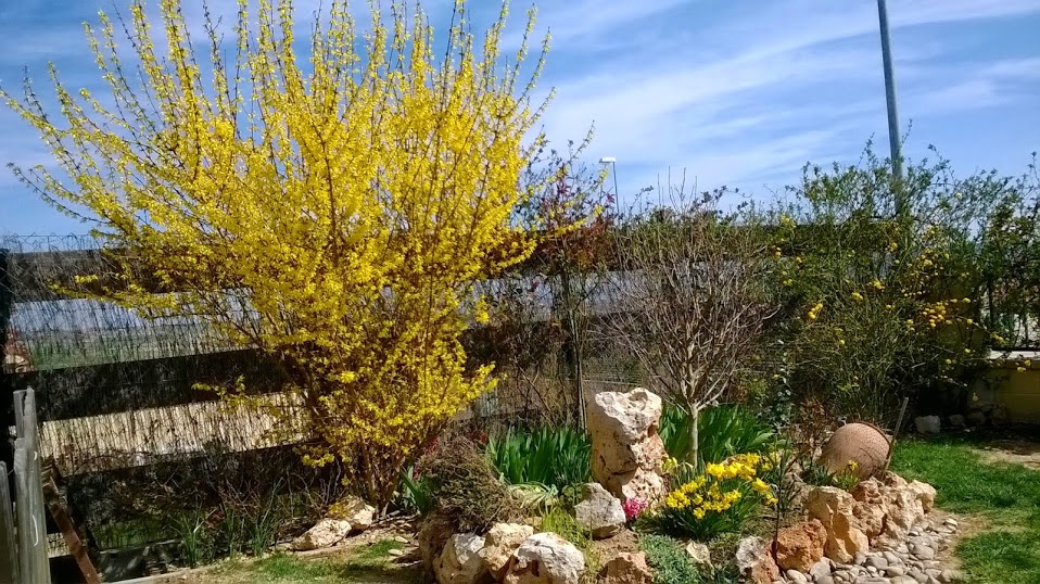 WP_20140315_009.jpg