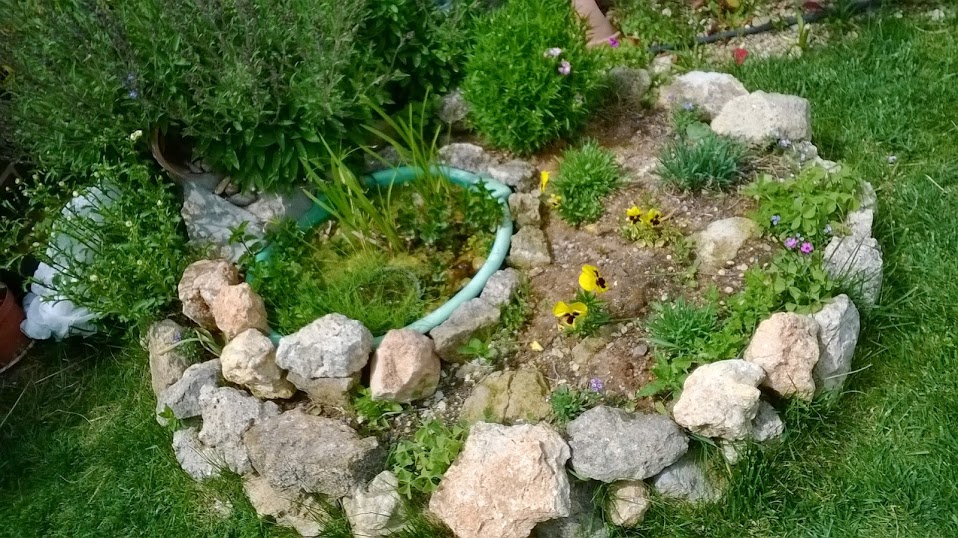 WP_20140430_020.jpg