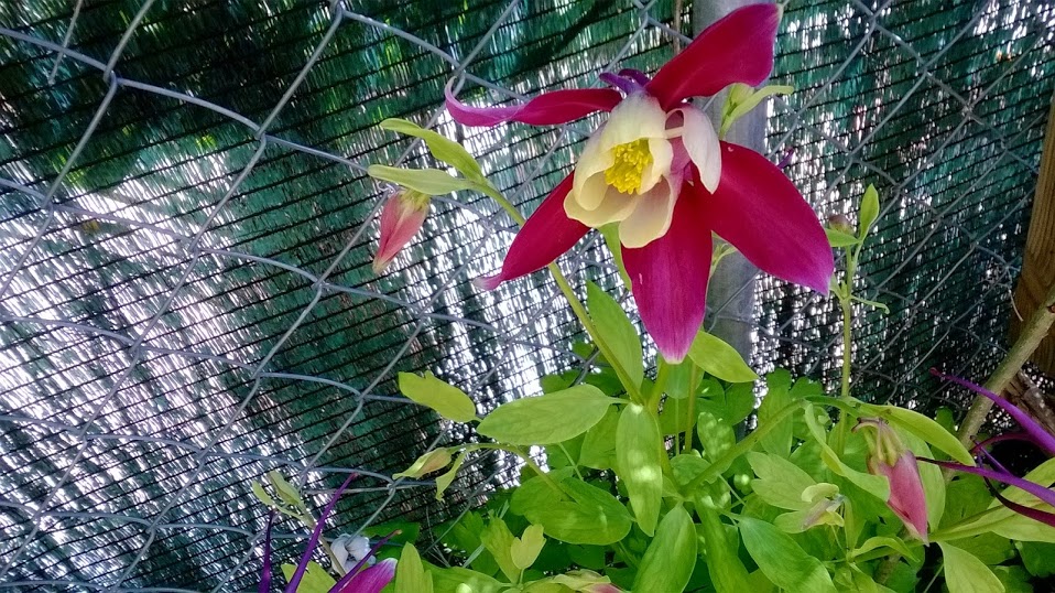 WP_20140507_008.jpg