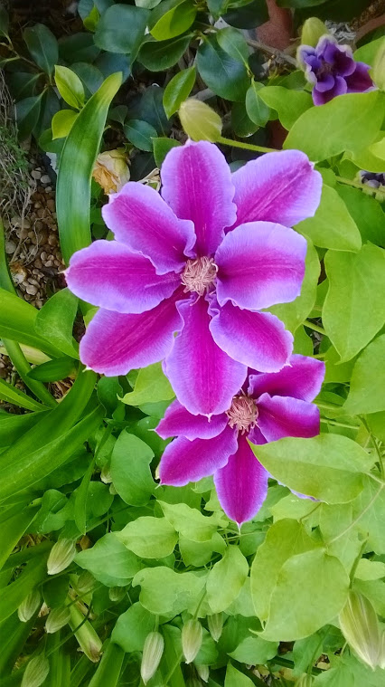 WP_20140507_017.jpg