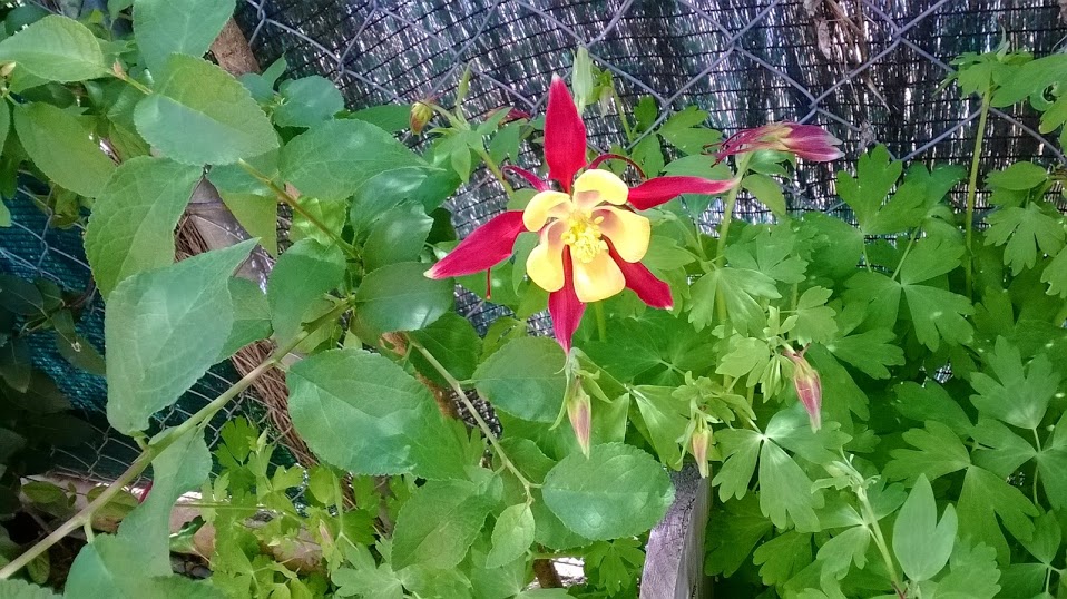 WP_20140510_011.jpg