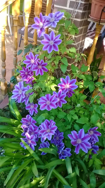 WP_20140511_008.jpg