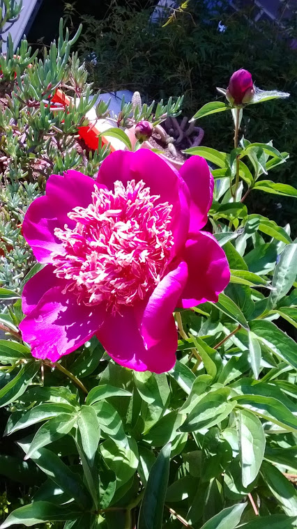 WP_20140514_007.jpg
