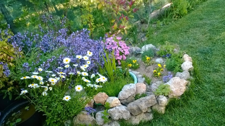 WP_20140517_015.jpg