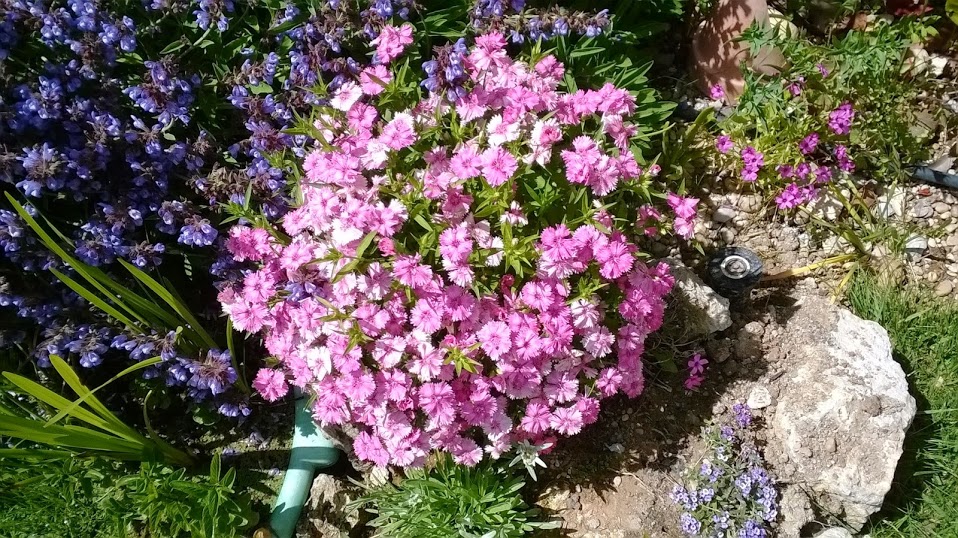 WP_20140520_009.jpg
