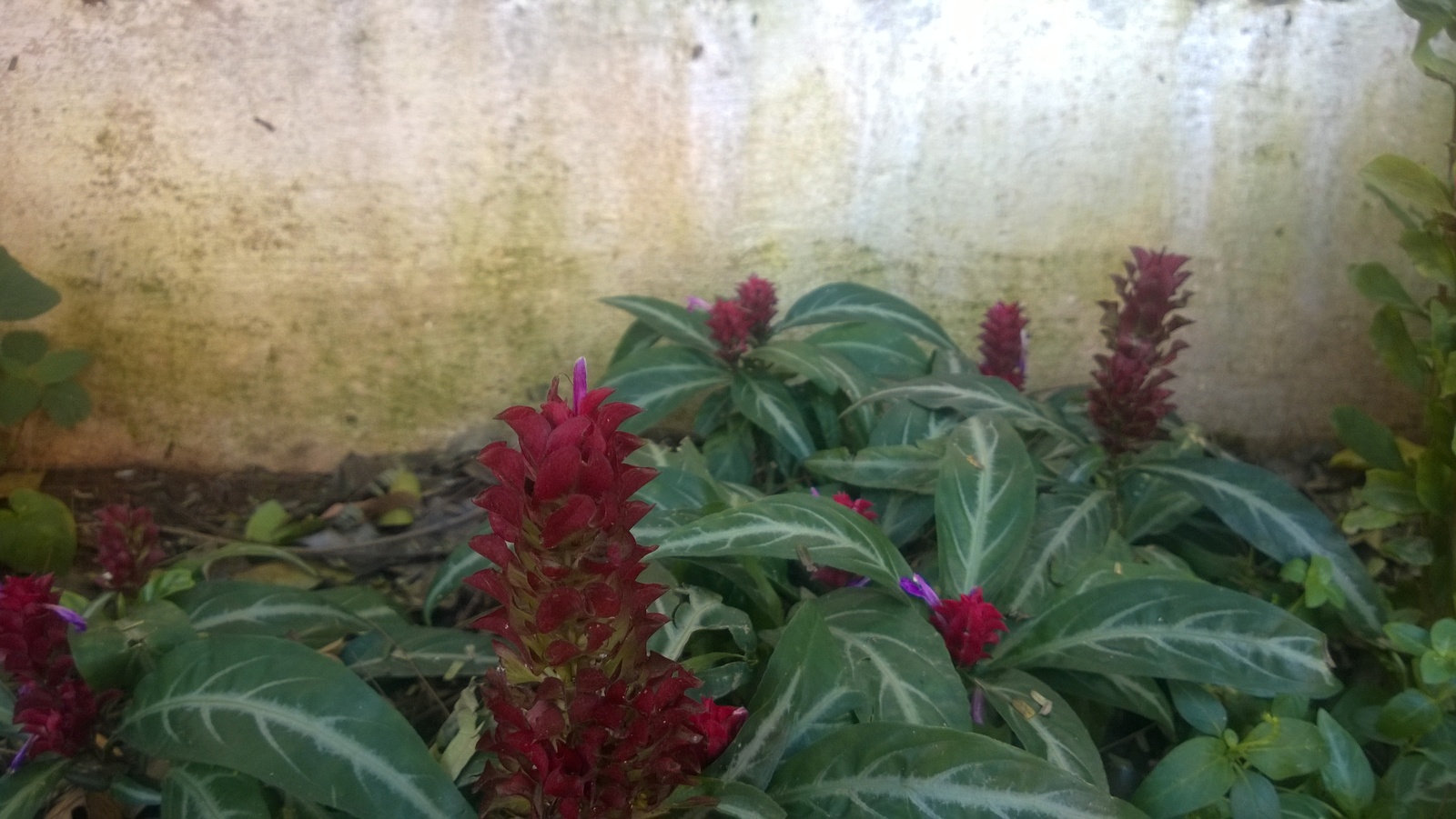 WP_20140831_13_24_14_Pro.jpg