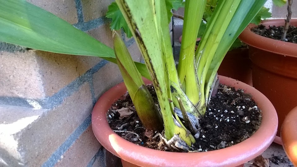 WP_20141030_002.jpg