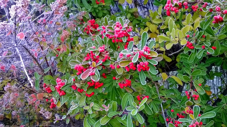 WP_20141223_012.jpg