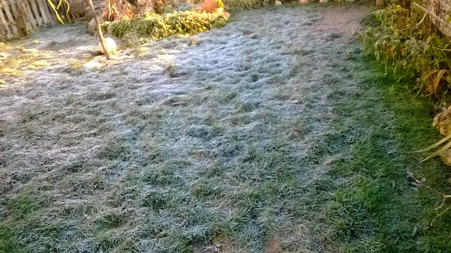 WP_20150103_001.jpg