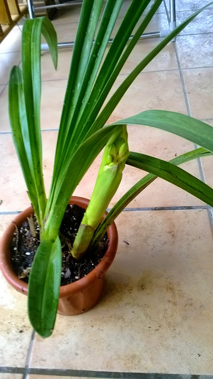 WP_20150221_008.jpg
