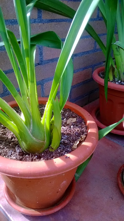 WP_20150309_001.jpg