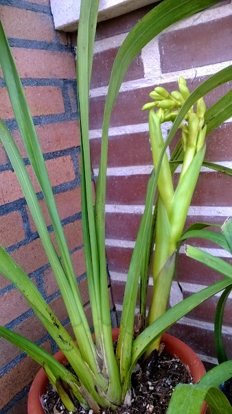 WP_20150309_002.jpg