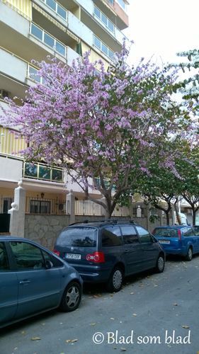 WP_20150407_006.png