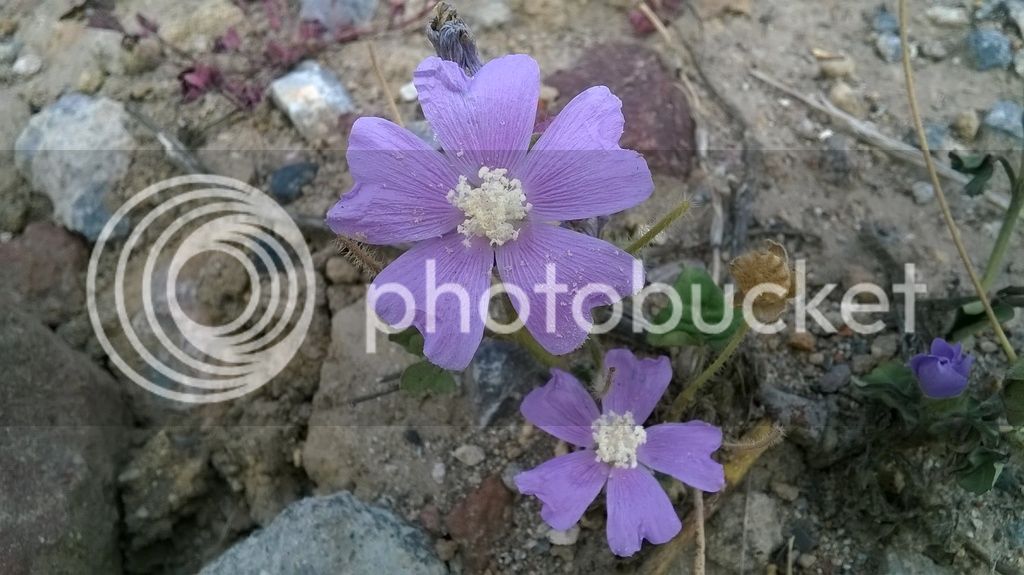 WP_20150501_149_zpstefk3olx.jpg