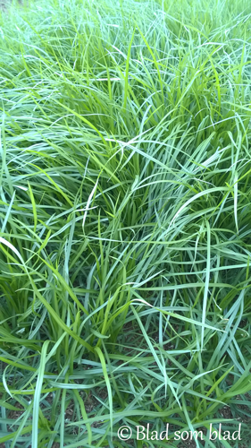WP_20150709_004.png