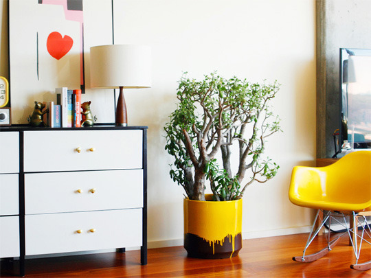 www.apartmenttherapy.com_.jpg
