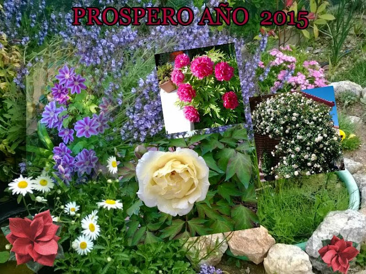 www.kizoa.com_collage_2014-12-22_20-00-30.jpg