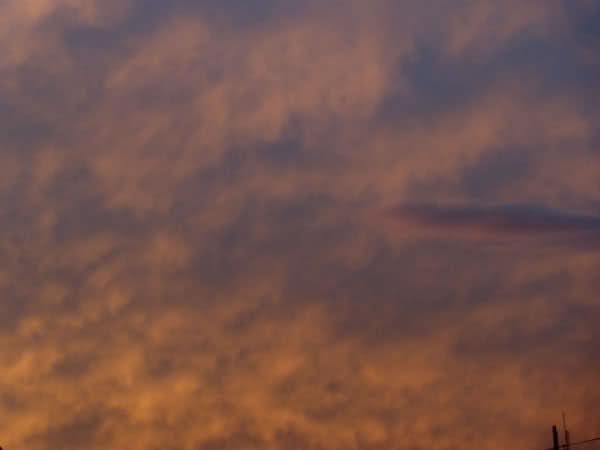 x1y89i.jpg