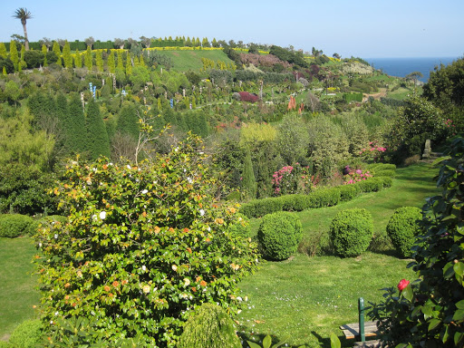 Xard%C3%ADn%20Luarca%20149.jpg