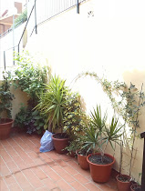 Xcn1DwwH-Cim4i5w1FPIPdwKo0hFyEwOwRkbP1n88JQ=w159-h210-p-no.jpg