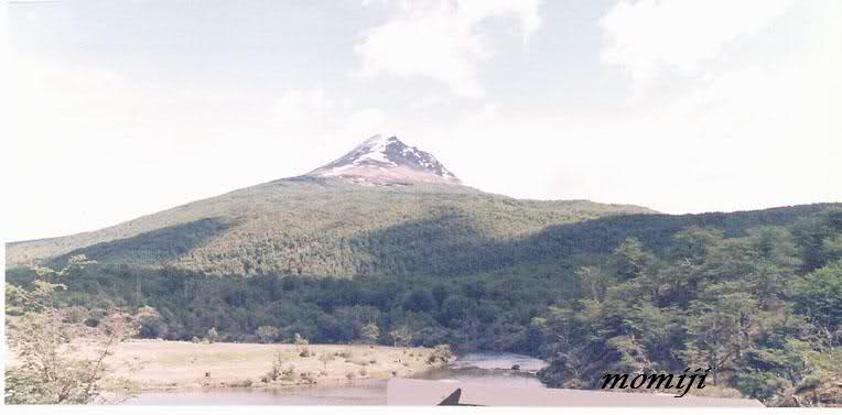 xnz246.jpg