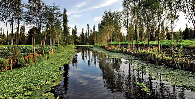 xochimilco-canales-ene11.jpg