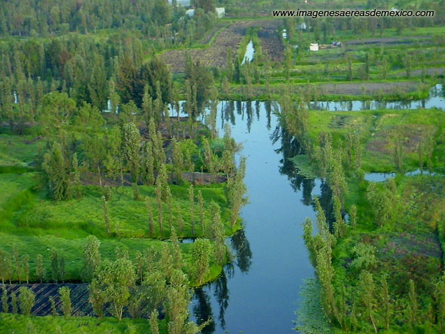 Xochimilco.jpg