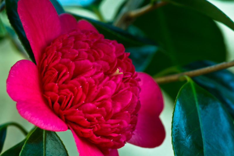 xu_o_11-01-24-1-1.jpg