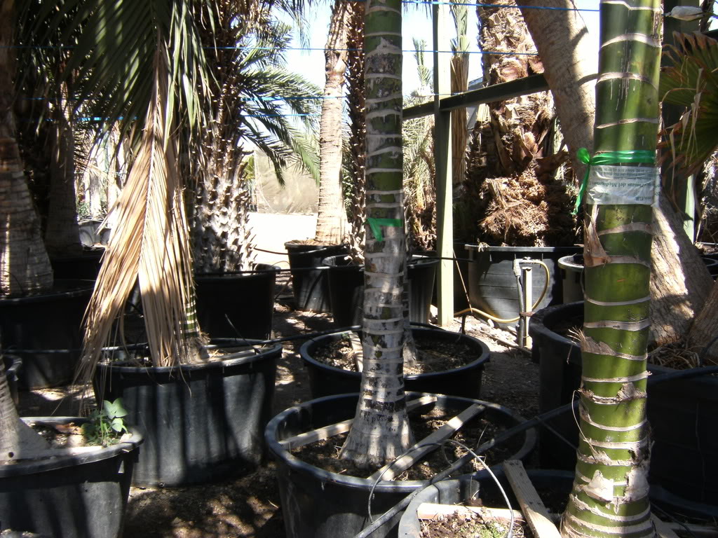 xx200608xx057.jpg