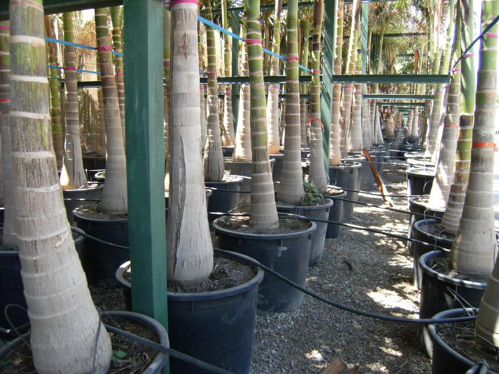 xx200608xx058.jpg