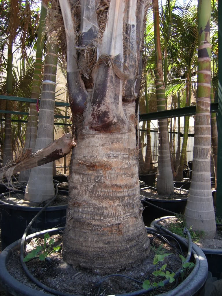 xx200608xx059.jpg
