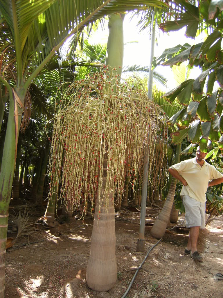 xx200608xx063.jpg