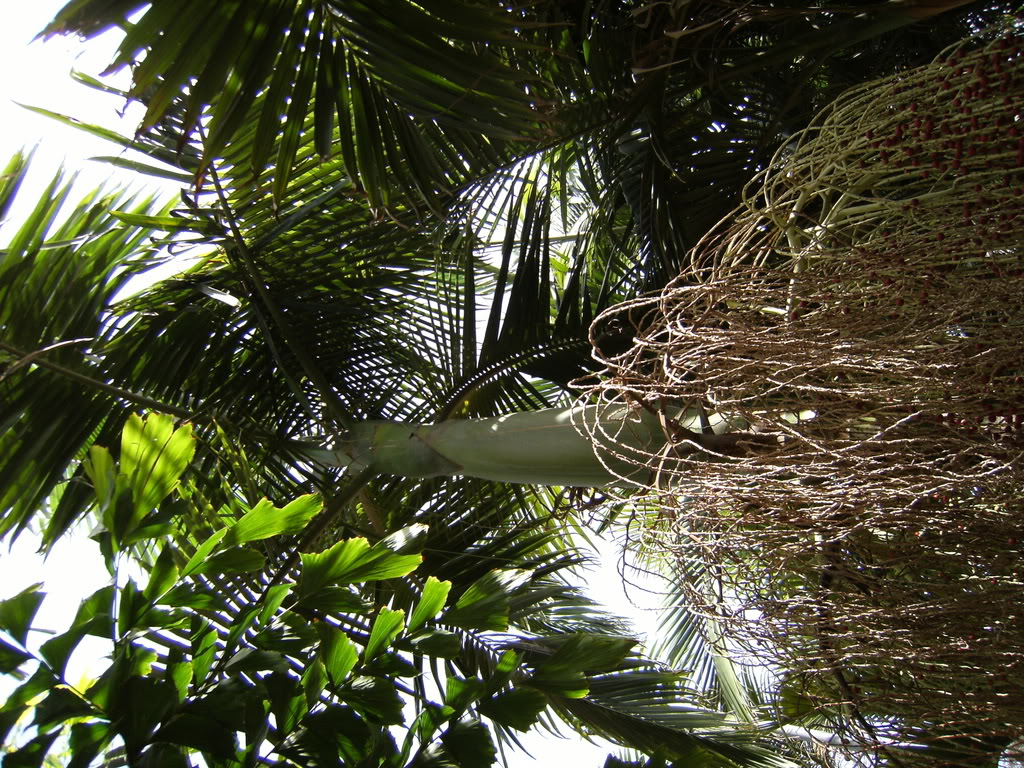 xx200608xx065.jpg