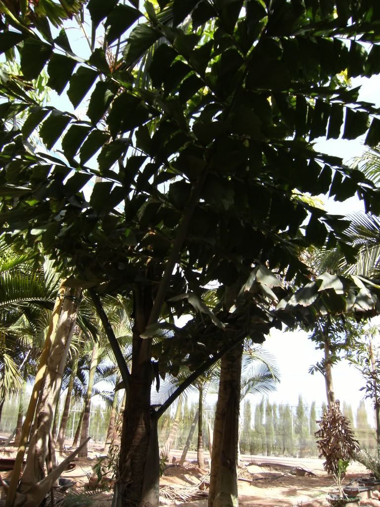 xx200608xx066.jpg