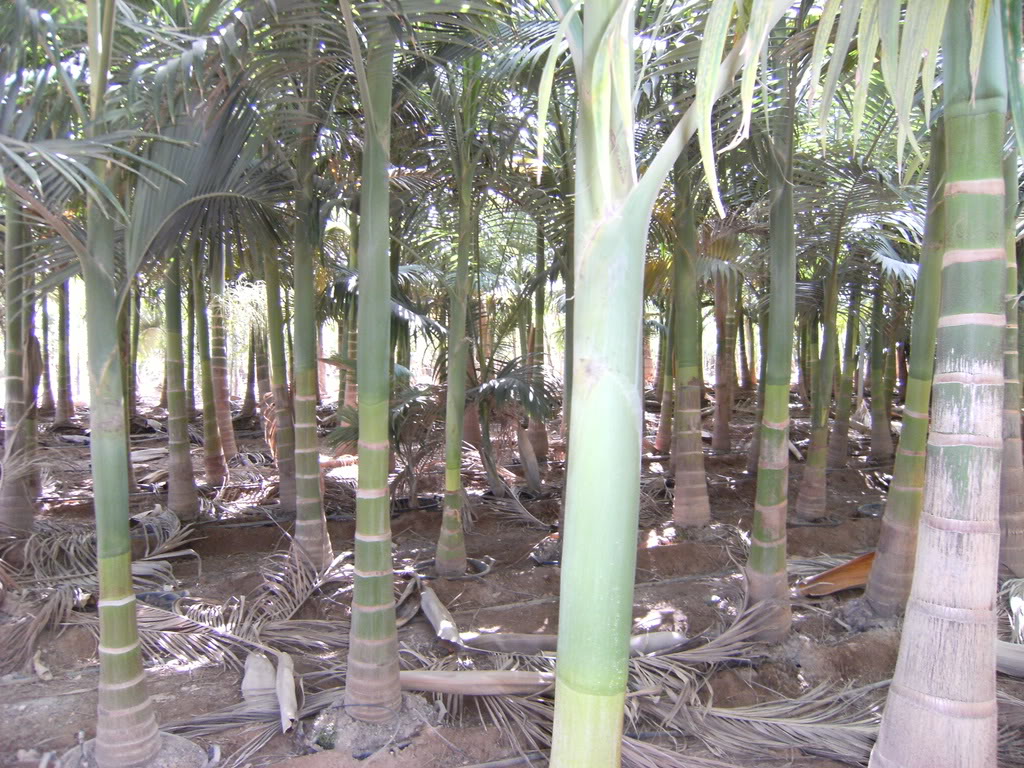 xx200608xx069.jpg