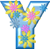 y.gif