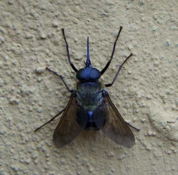y1pQG3EIvl-NERQj2STIRY1xS9Nv4HnCyqybaNIM7CAXsT2dYyEw8kfGtYFA826ngMm4P23j-MkAGU.jpg