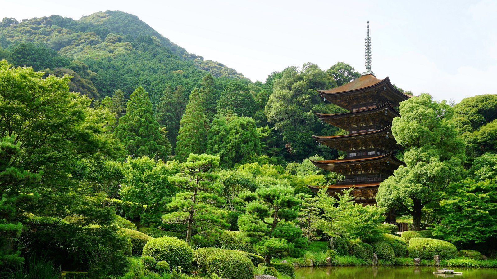 yamagushi-en-japon-2425.jpg