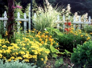Yellow%20Garden%20Large.jpg